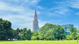 คู่มือชินจูกุเกียวเอ็น ซากุระ ใบไม้แดง จองตั๋ว การเดินทาง