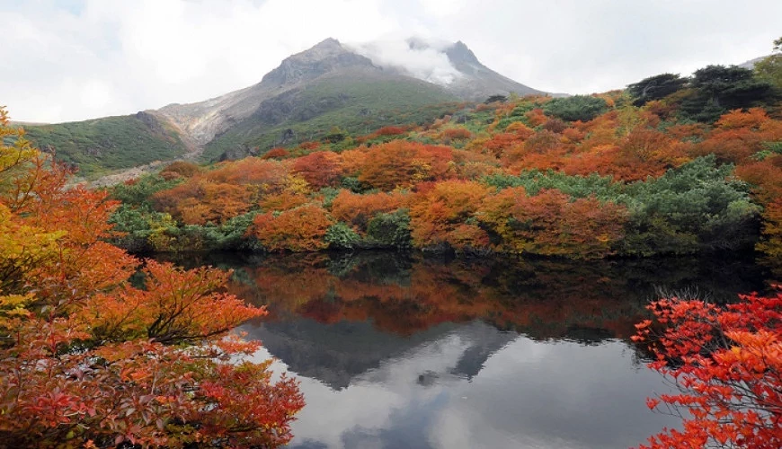 秋季紅葉的茶臼岳