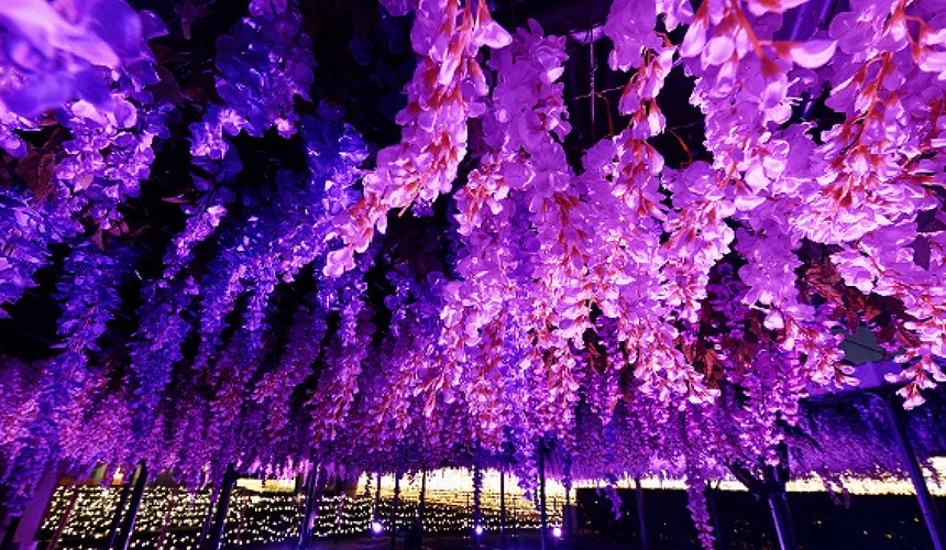 紫色灯光点缀下的藤花隧道或紫藤花棚,光影交错。