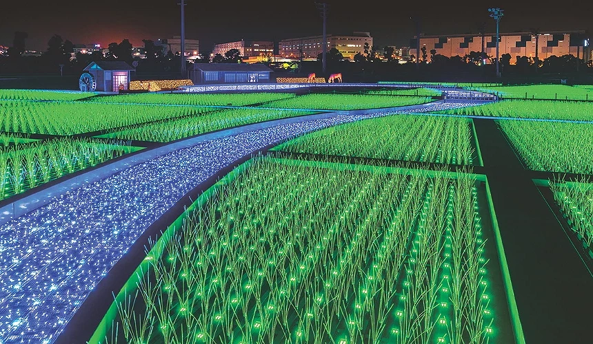 户外一片绿色的LED灯海,排列整齐,景观壮阔。
