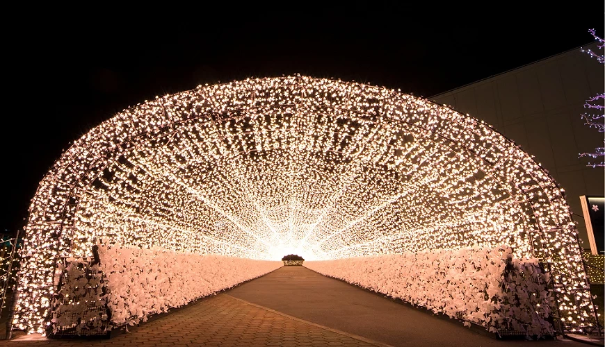 江户樱花隧道,夜晚户外广阔的白色和粉色灯海景观。