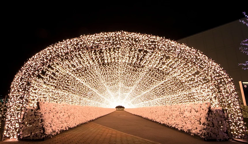 江戶櫻花隧道 TOKYO MEGA ILLUMI