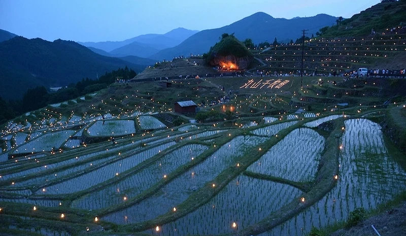 点满灯火的丸山千枚田