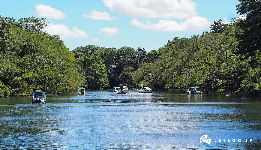 井之头公园内的湖泊,许多游客正在踩天鹅船