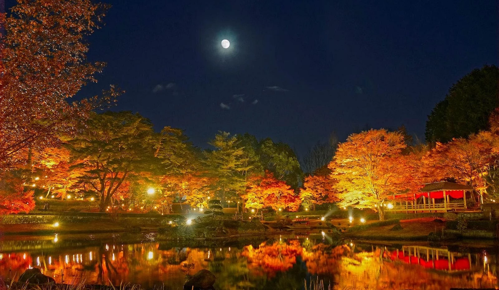 夜空下的虹之乡红叶点灯,枫叶在灯光照耀下映出金橘色光辉,池水倒映月色与红叶