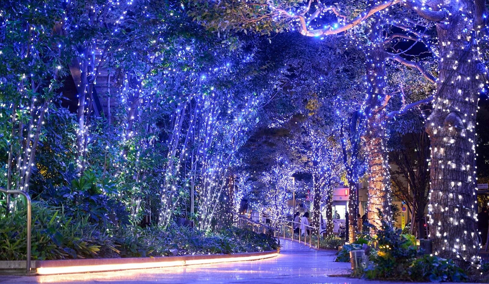 夜色中的东京晴空塔城步道,被蓝白灯串包围,闪耀如星空隧道,营造浪漫冬夜氛围