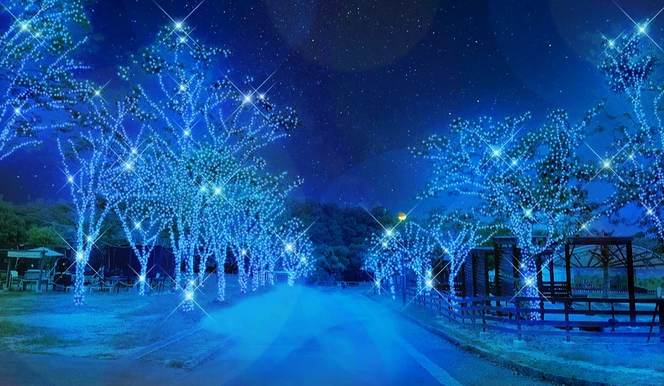 蓝色灯光点亮整片林道,树木闪烁如星河,营造静谧浪漫的夜色