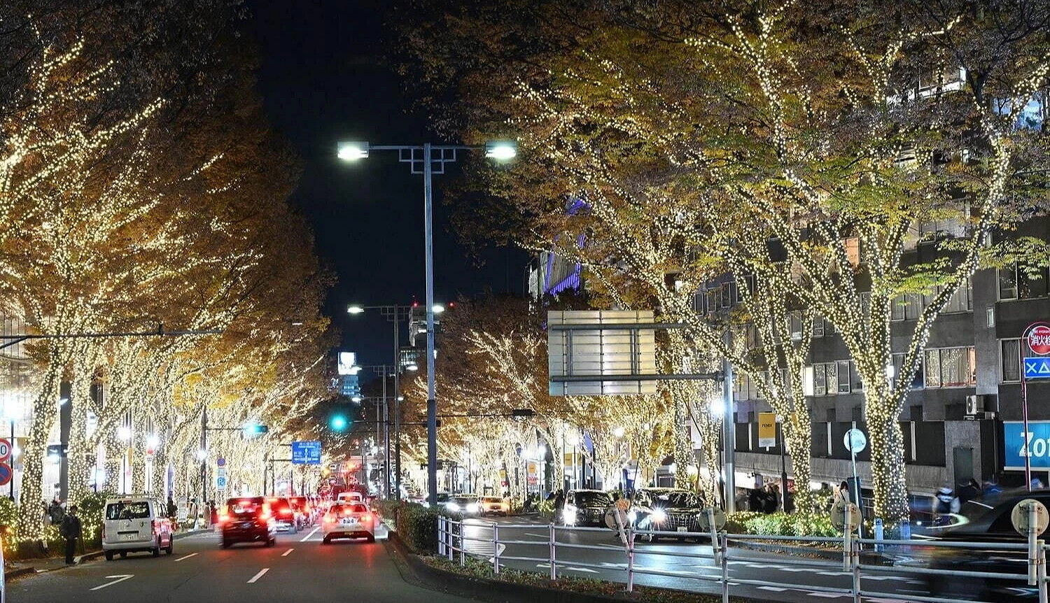 东京表参道冬季灯饰街景,榉树大道挂满香槟金色LED灯,车辆与行人穿梭于璀璨夜色中