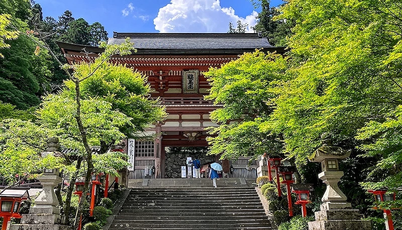 绿色树林围绕的红色神社
