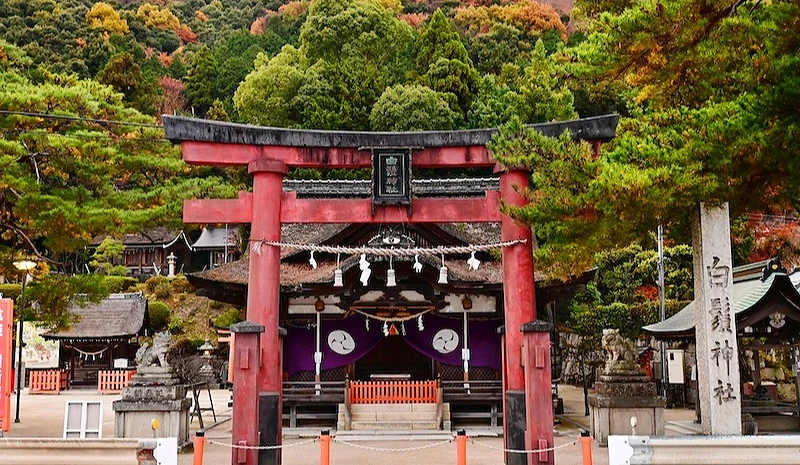 白须神社外有红色鸟居的本殿
