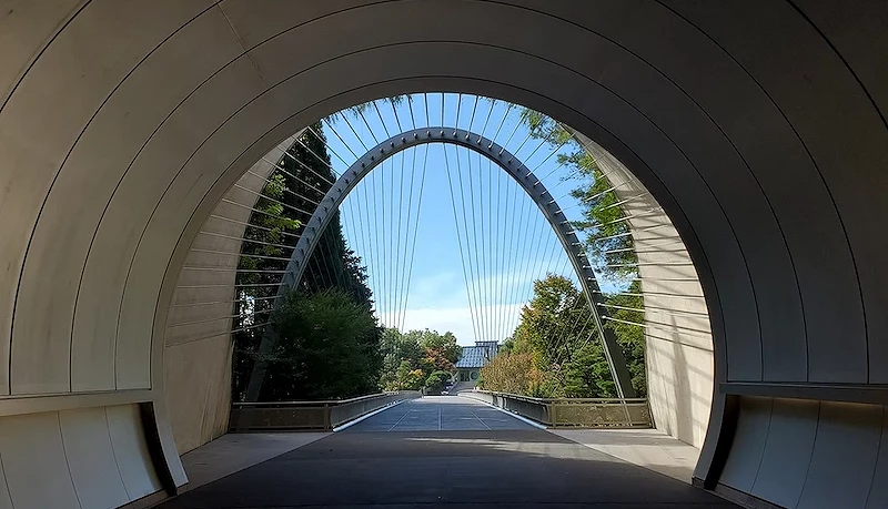 一个洞穴,尽头可看见