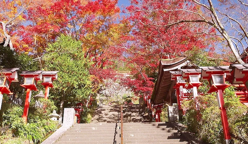 红叶盛开的鞍马寺阶梯