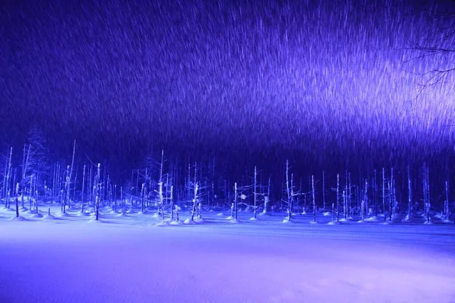 美瑛冬天必看點燈！2025夢幻光影點綴青池、白鬚瀑布、Birke之森 的縮圖