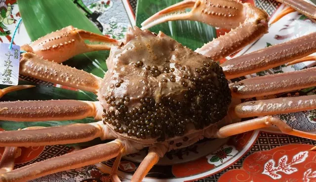 到金澤吃加能蟹、喉黑魚！「大名茶家」品嚐當季頂級食材，離車站僅3分