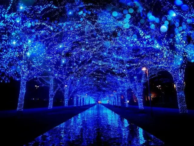 最浪漫的藍色光海！澀谷「青之洞窟」打造東京最受矚目打卡聖地