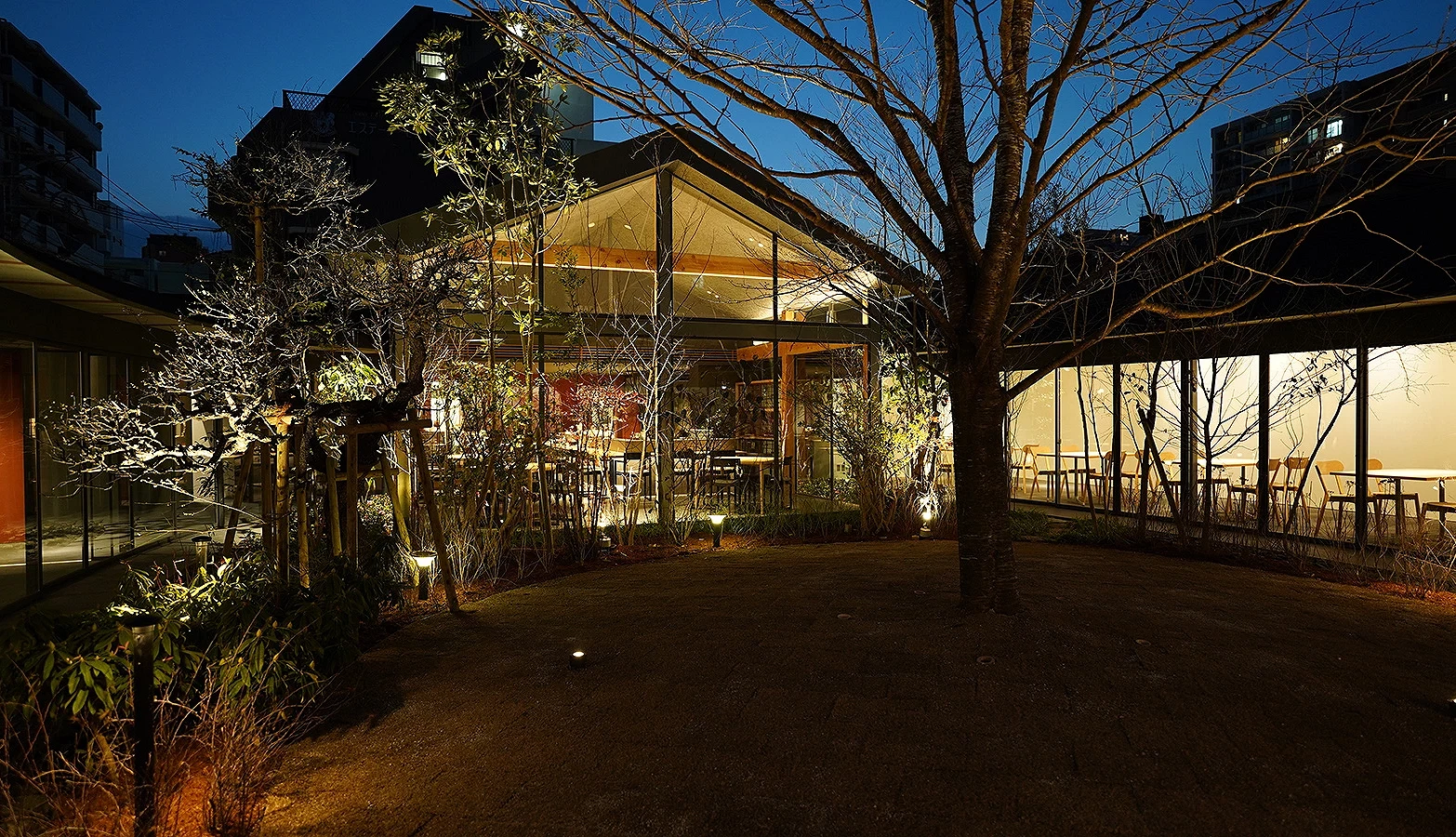 樹林裡亮著燈的玻璃窗建築物