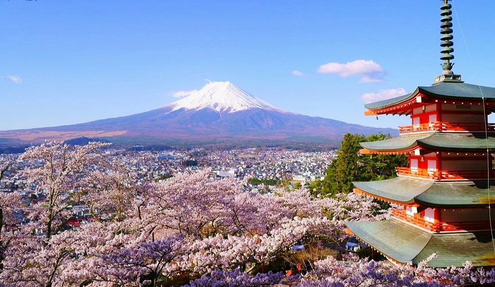 櫻花季時的富士山與五重塔