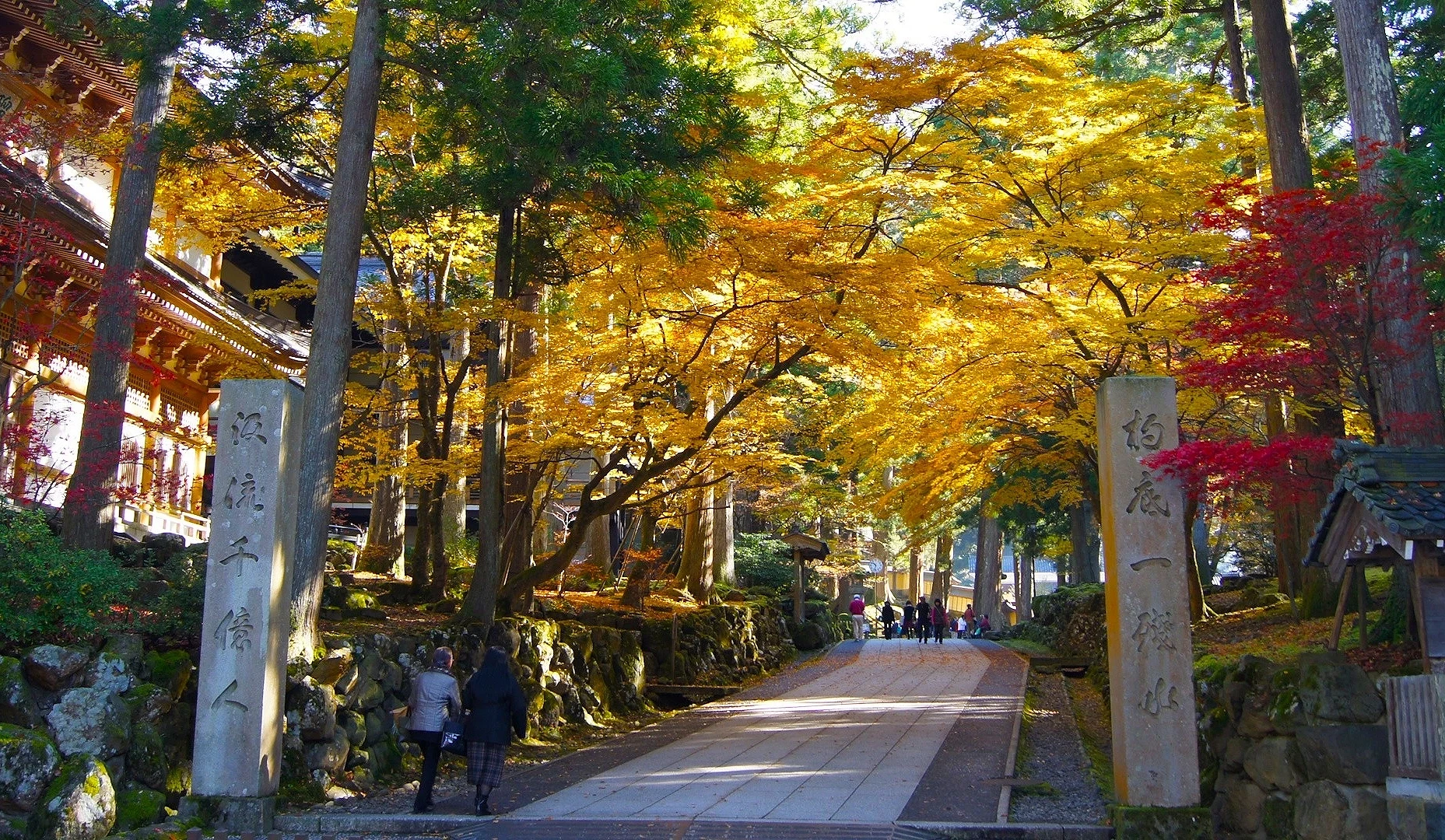 永平寺的红叶及黄叶秋色