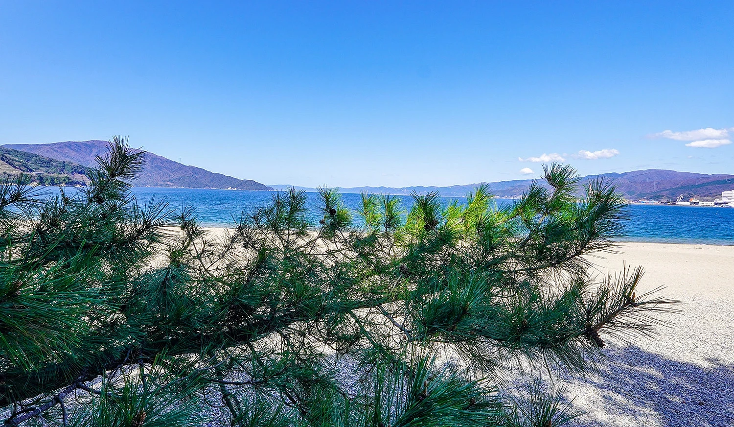 气比松原的白砂沙滩