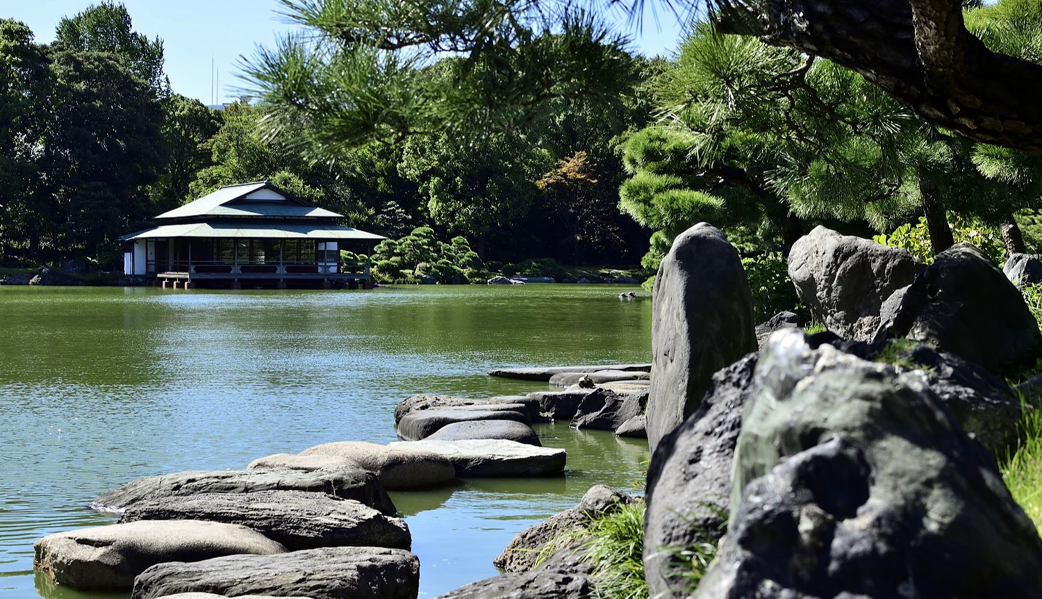 清澄庭园内的池塘