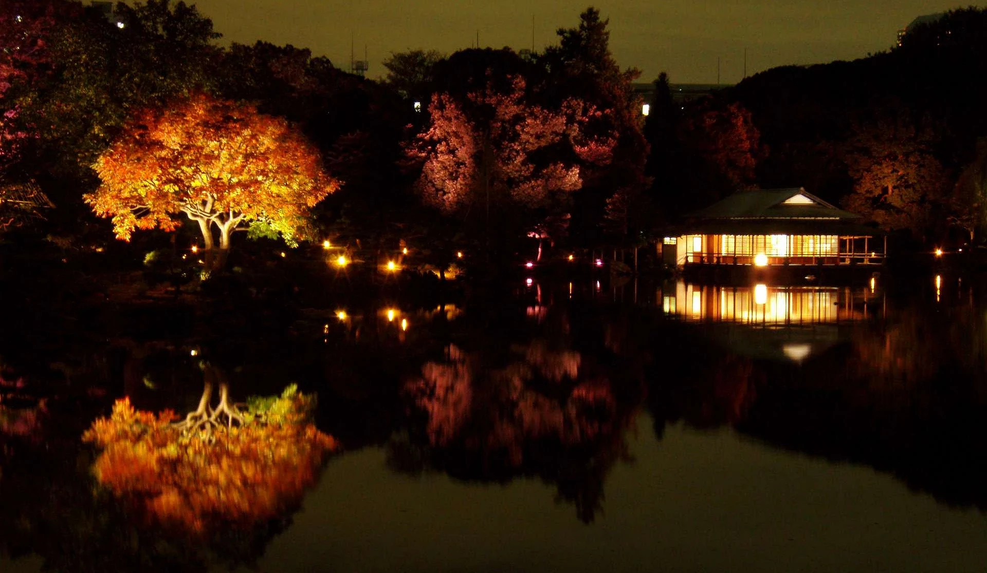 夜晚的清澄庭园内