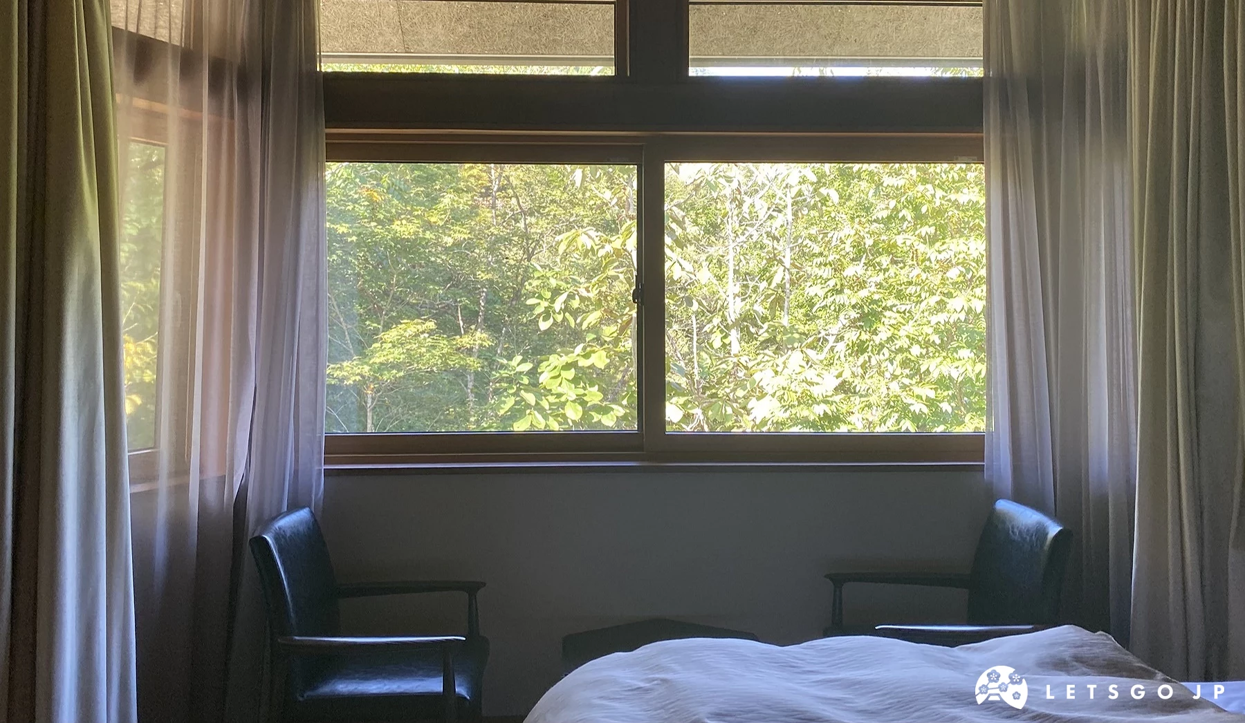 從房間看出去的綠葉景色
