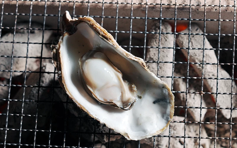 放在烤網上的半開殼牡蠣