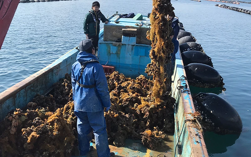 海上的藍色漁船,船員正在收漁網