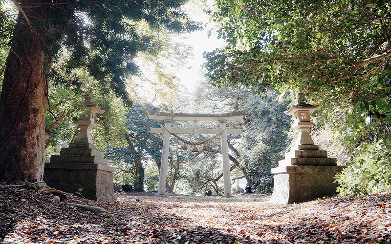 林間小道通往石製鳥居與石燈籠