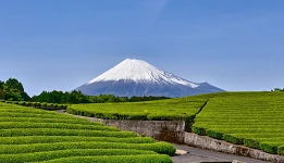 静冈景点、交通、行程与住宿懒人包：富士山、伊豆半岛、热海温泉都必去