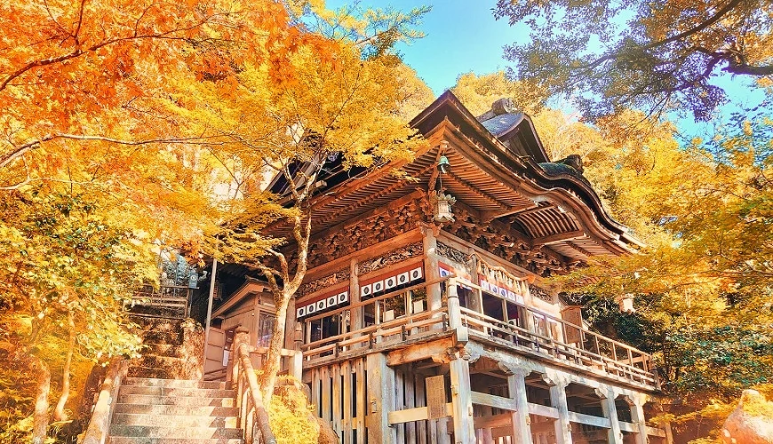 紅黃相間的秋季那谷寺紅葉