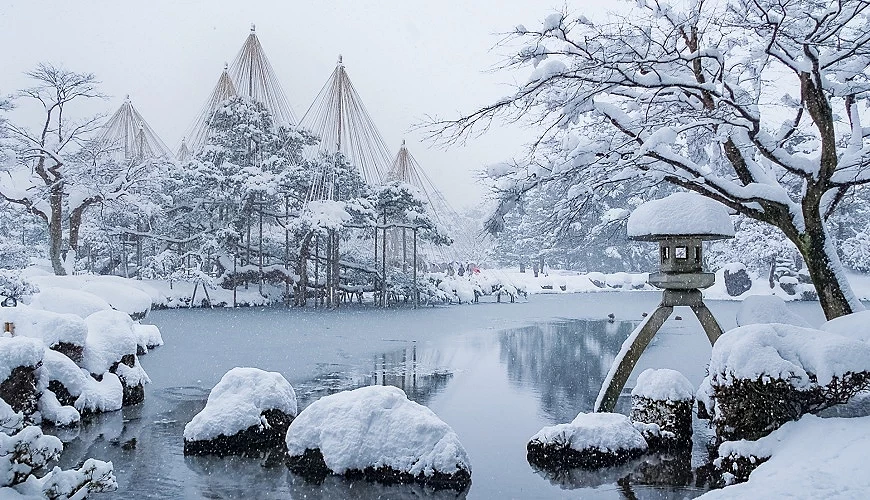 兼六園的冬季雪中的「雪吊」