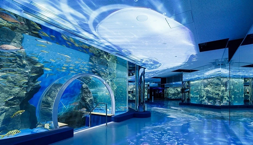 能登島水族館能登海游迴廊