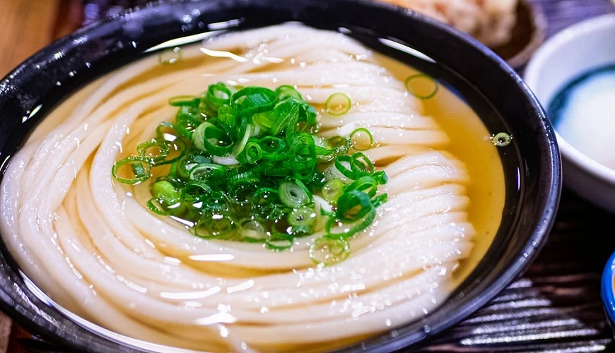 撒上葱花的热汤赞岐乌龙面