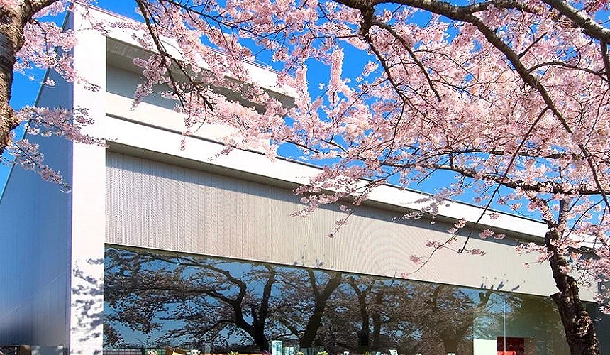 春天的函馆五棱郭店被盛放的樱花包围,玻璃外墙倒映粉嫩花影