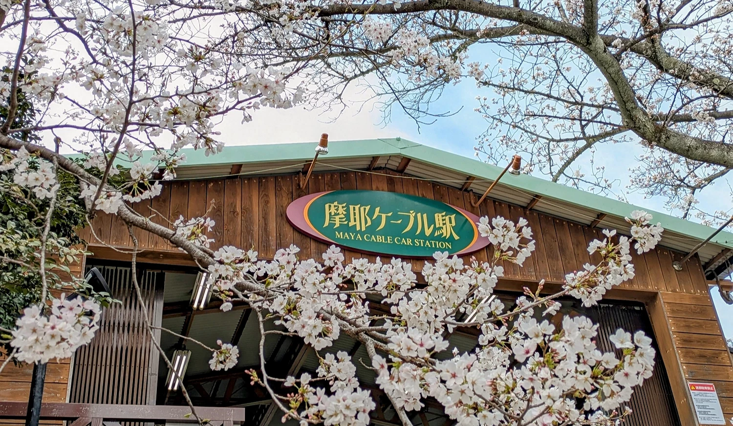 摩耶山缆车的招牌被樱花团簇