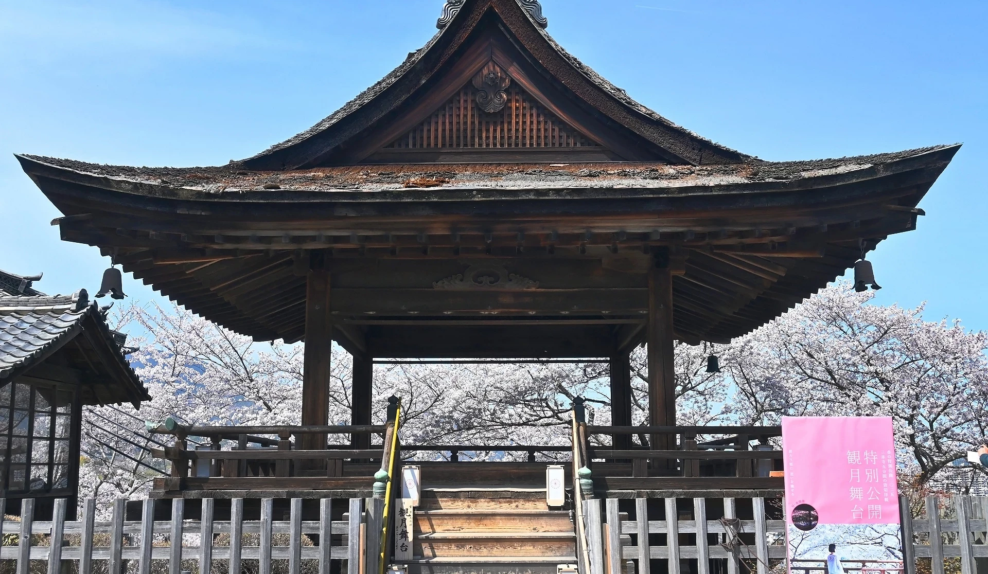 三井寺内古老建筑有樱花作为背景