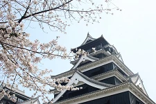 2026九州樱花景点15选：熊本、鹿儿岛、由布院、佐贺、长崎赏樱必去