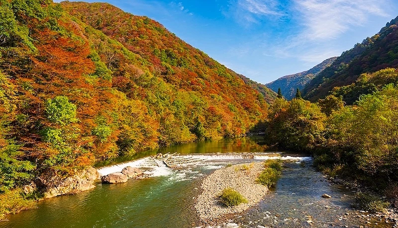 两旁山林都是红叶中间为溪流