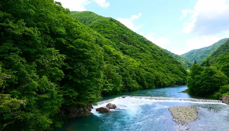 两旁是翠绿树林,中间是溪流