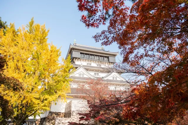 2025九州楓葉季：11月賞福岡紅葉、熊本12月泛舟賞楓【九州賞楓景點】