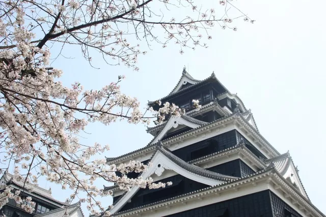 2026九州樱花景点15选：熊本、鹿儿岛、由布院、佐贺、长崎赏樱必去