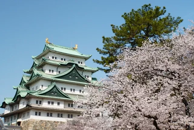 2026名古屋櫻花景點6選：名古屋城、鶴舞公園、名城公園賞櫻必看