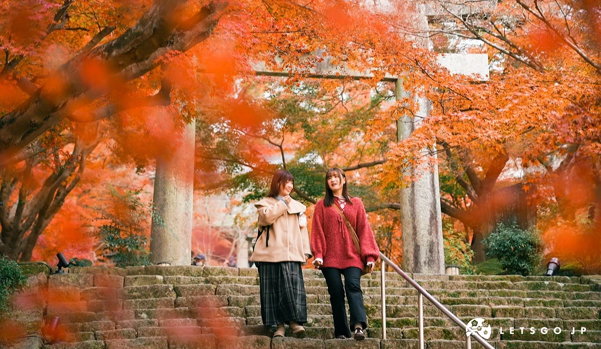两位女子走在鸟居前的阶梯上,四周布满枫叶