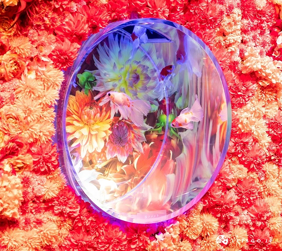 圓形魚缸被無數花朵包圍,裡面金魚悠遊