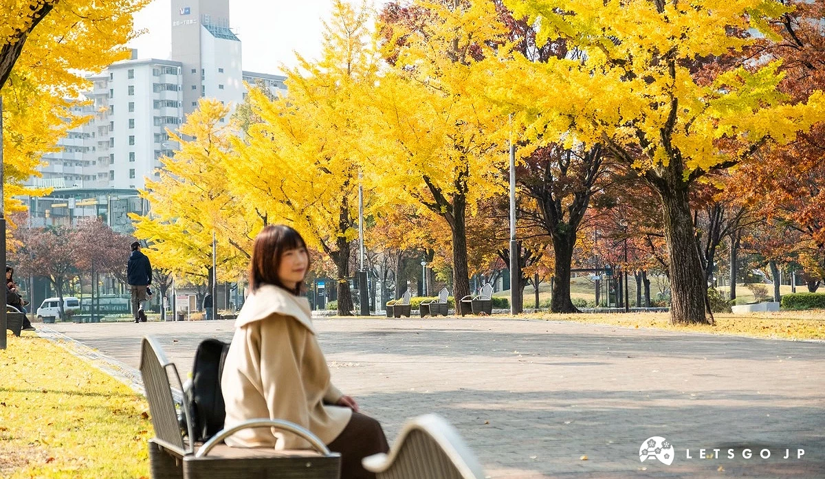 一位少女坐在满是银杏树的公园长椅上