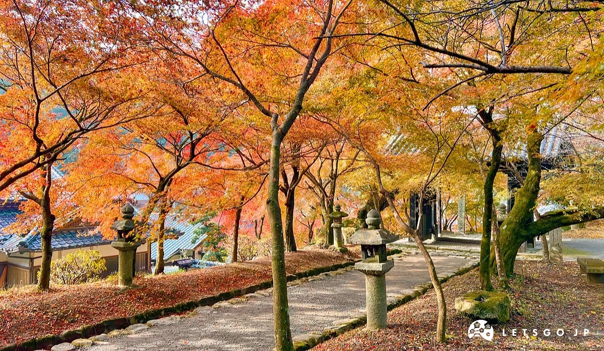 被枫叶围绕的寺庙小径