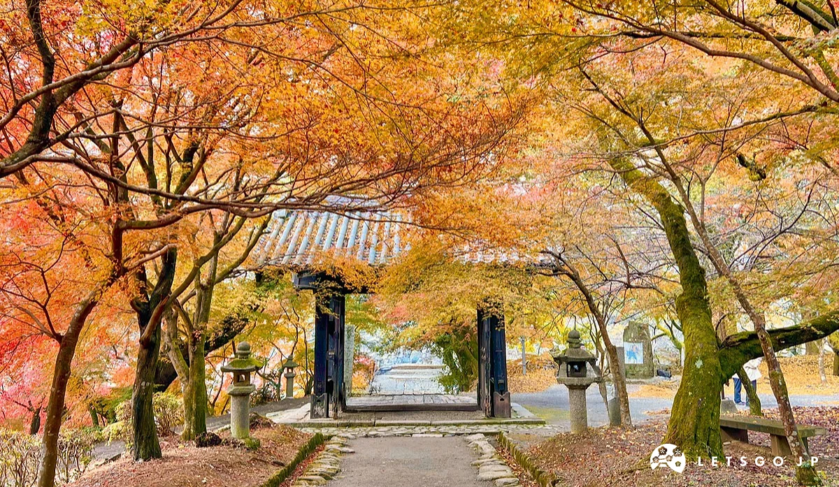 被枫叶围绕的寺庙大门