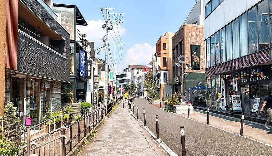 貓街的街道