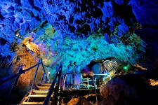 獲得原創明信片